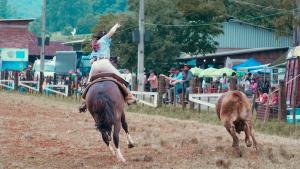 29º Rodeio Crioulo de Colinas-RS